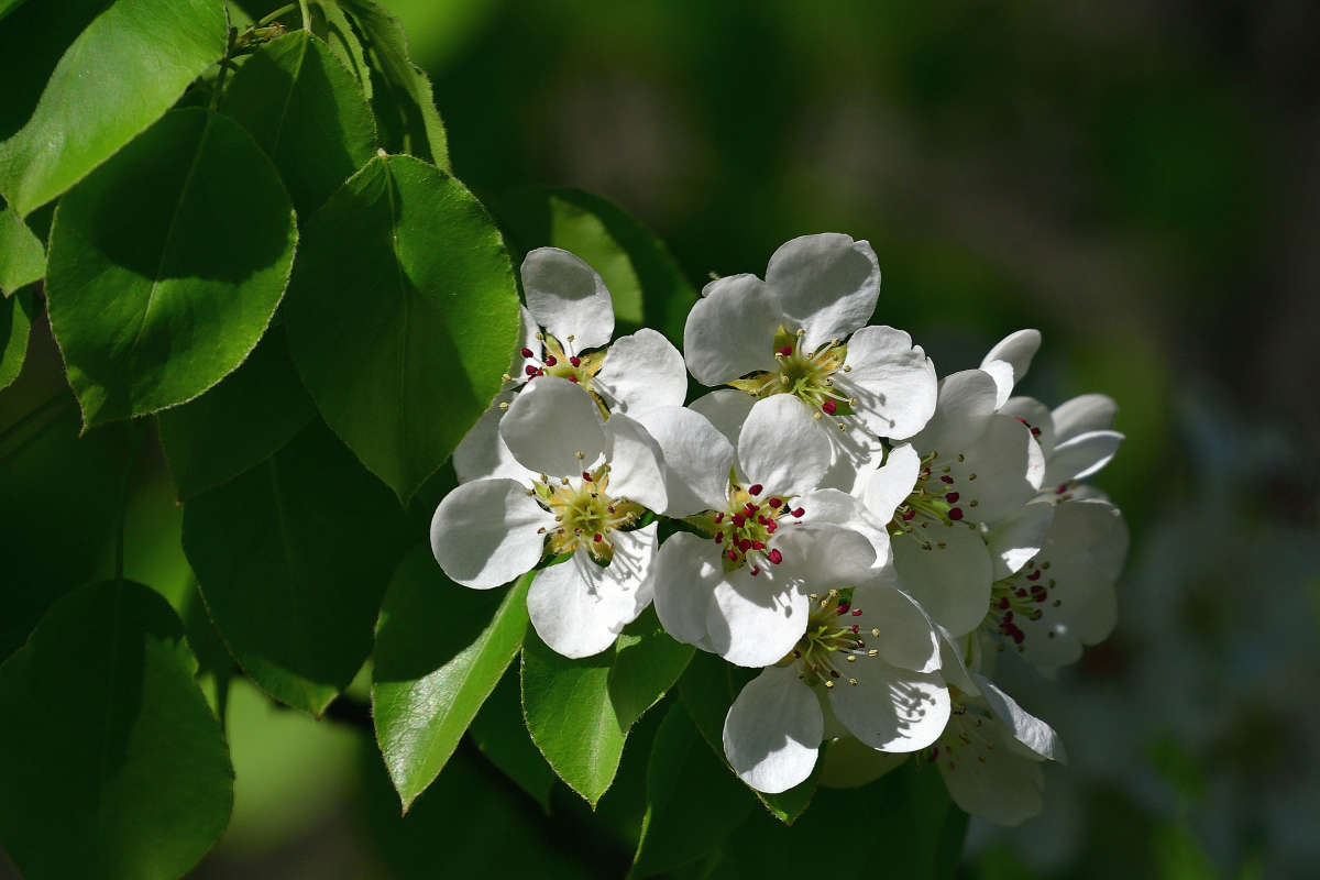 ... ����� �����  �� PhotoGeek.ru #������ ��� ������� #����� ��������������