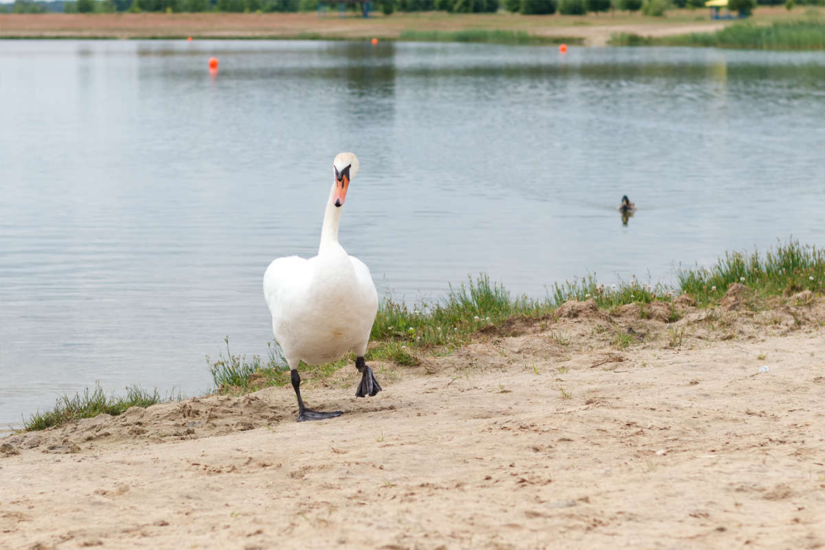 �� �������� ����� Tatsiana  �� PhotoGeek.ru #�������� ��� #����� ��� ��� ���������