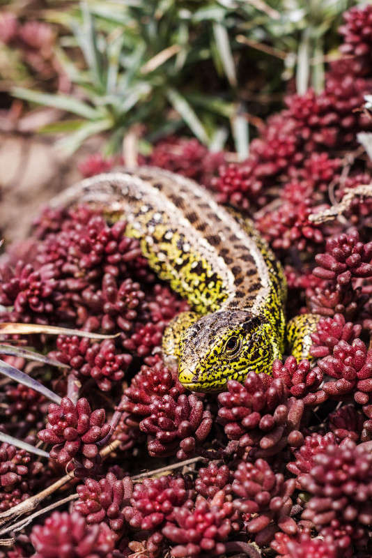 �������� ����� Tatsiana  �� PhotoGeek.ru #�������� ��� #����� ��� ��� ���������