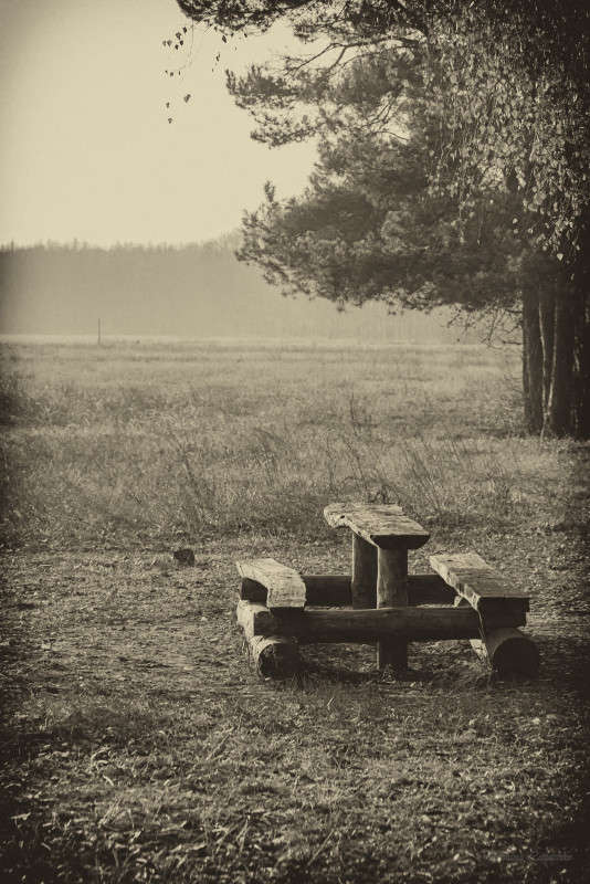 �������� ����� Tatsiana  �� PhotoGeek.ru #������ ��� ������� #������