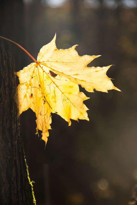 �� �����, ����� ���� ������ ���� �� ����������� ����� ������  ������� �� PhotoGeek.ru #������ ��� �������