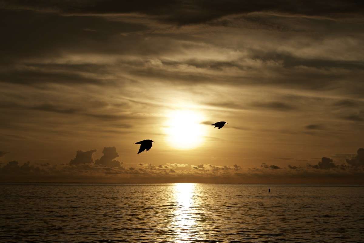 Freedom ����� Kirill  �� PhotoGeek.ru #������ ��� ������� #����� ��������