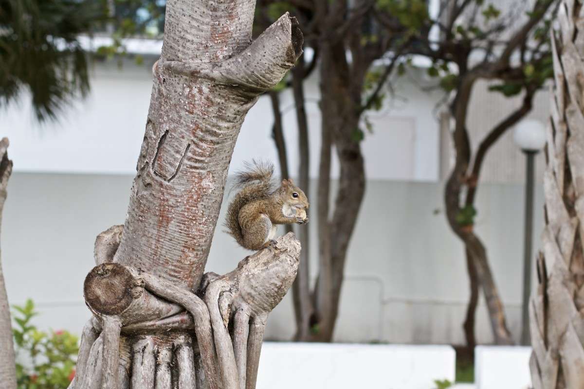 Breakfast ����� Kirill  �� PhotoGeek.ru #�������� ��� #����� ��� ��� ���������