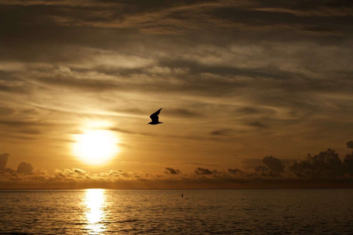 ��������� ������ ����� Kirill  �� PhotoGeek.ru #������ ��� ������� #�������� ����������