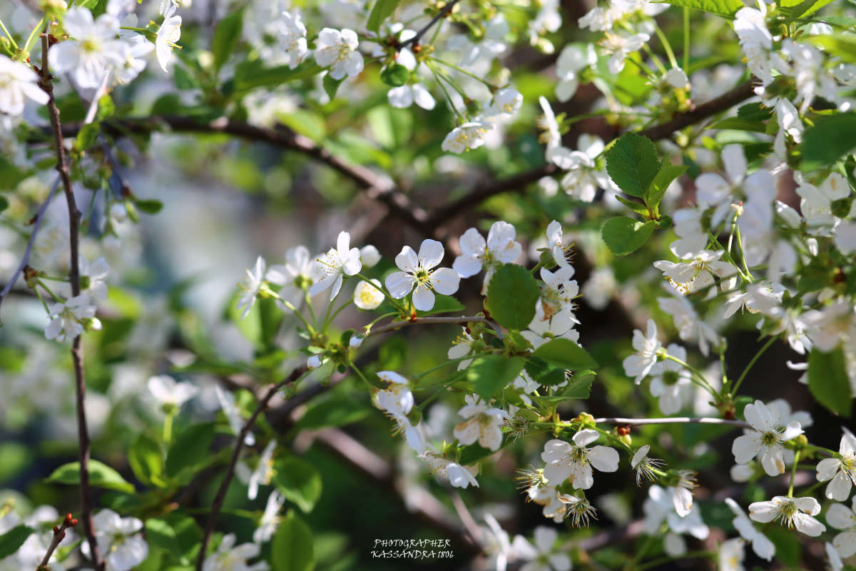 �������� ����� ����� ������ ��������� �� PhotoGeek.ru #������ ��� ������� #����� ��������������