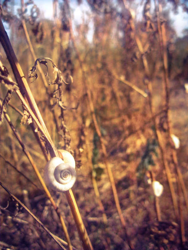 ... ����� ��������� ������� �� PhotoGeek.ru #����� #������ ��� ������� #����� �������������� #����� ��������