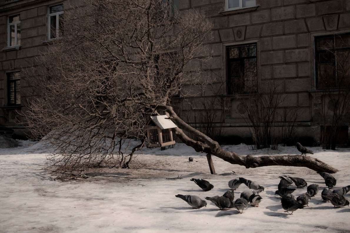 ... ����� ���������  �� PhotoGeek.ru #�����