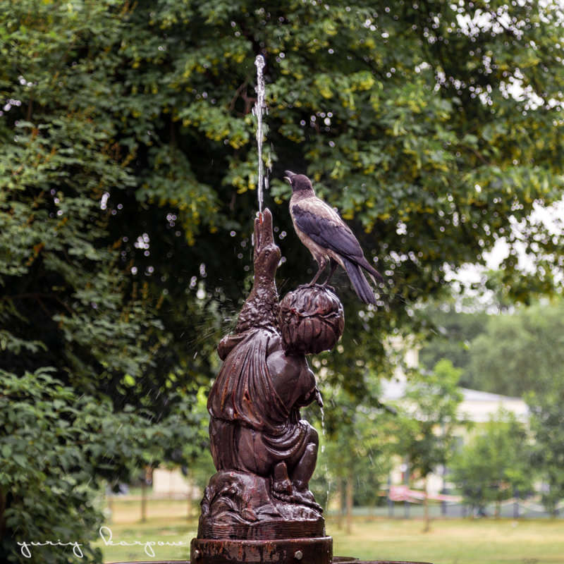 ��������.. ����� ����  ������ �� PhotoGeek.ru #�������� ���