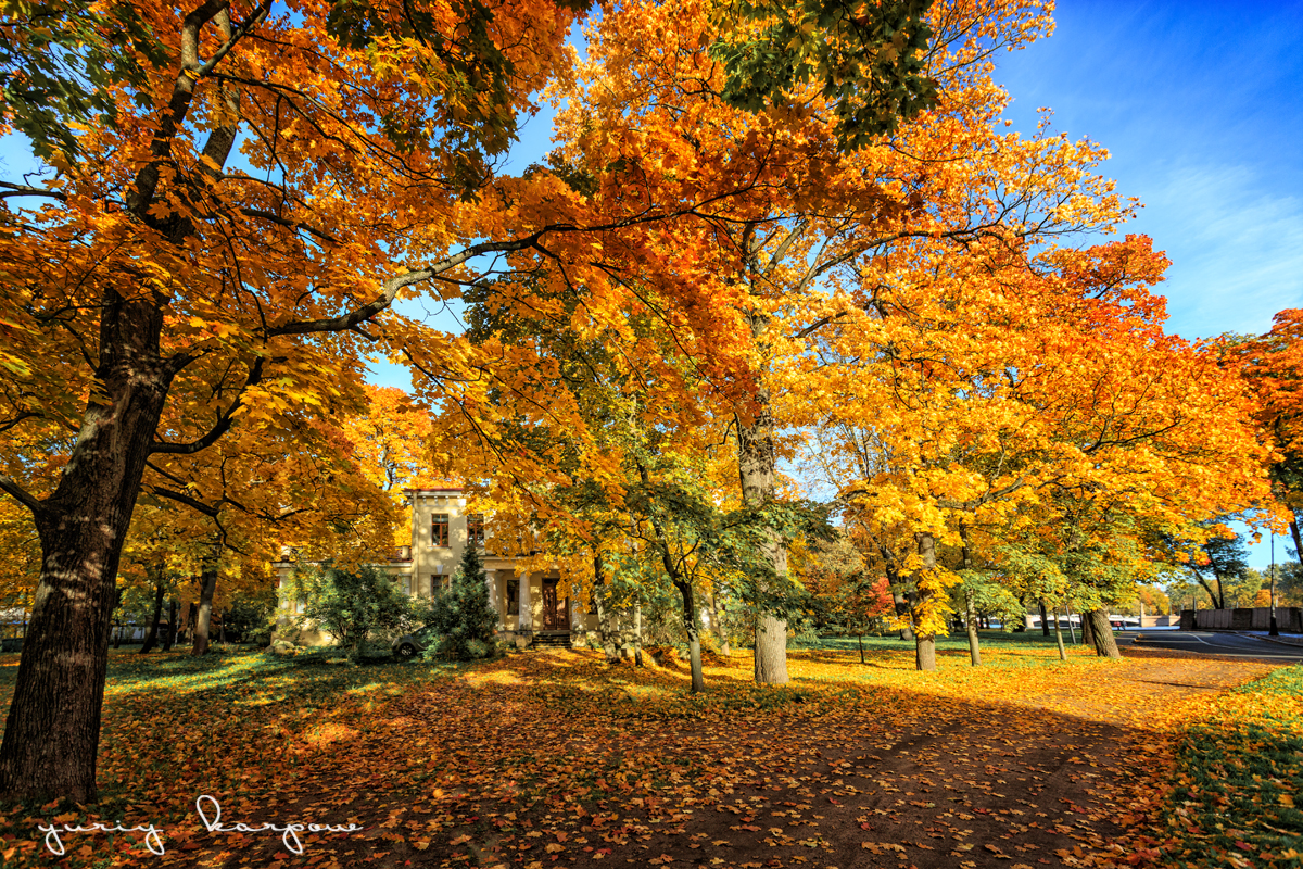 ������� ����� ����  ������ �� PhotoGeek.ru #������ ��� �������