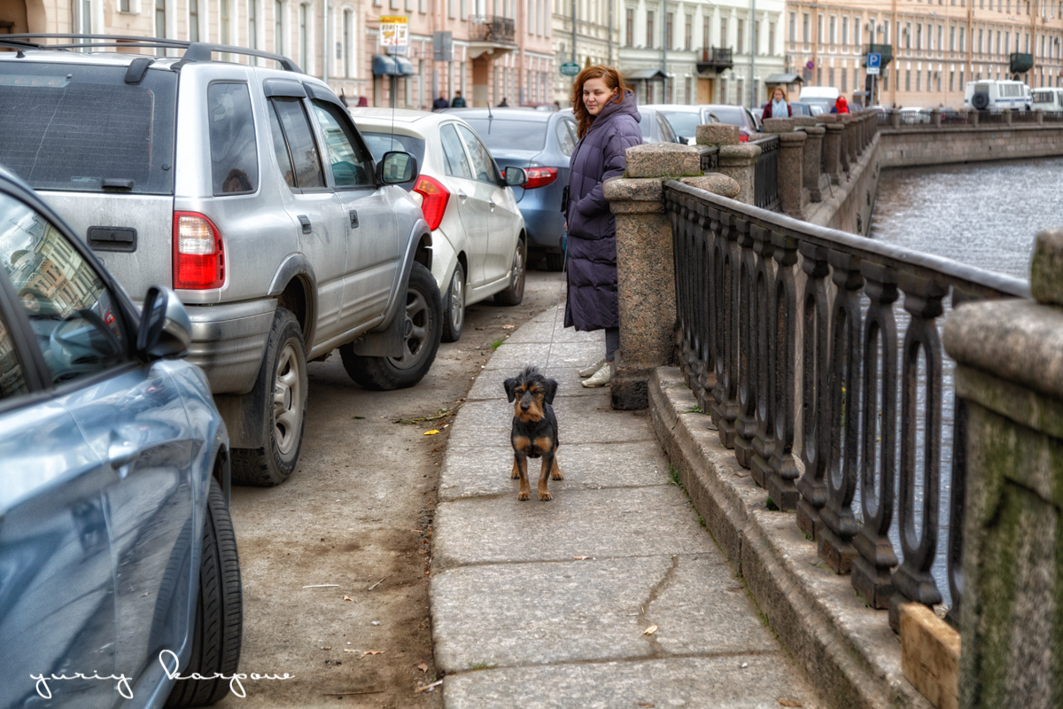 street photo      PhotoGeek.ru #  #-