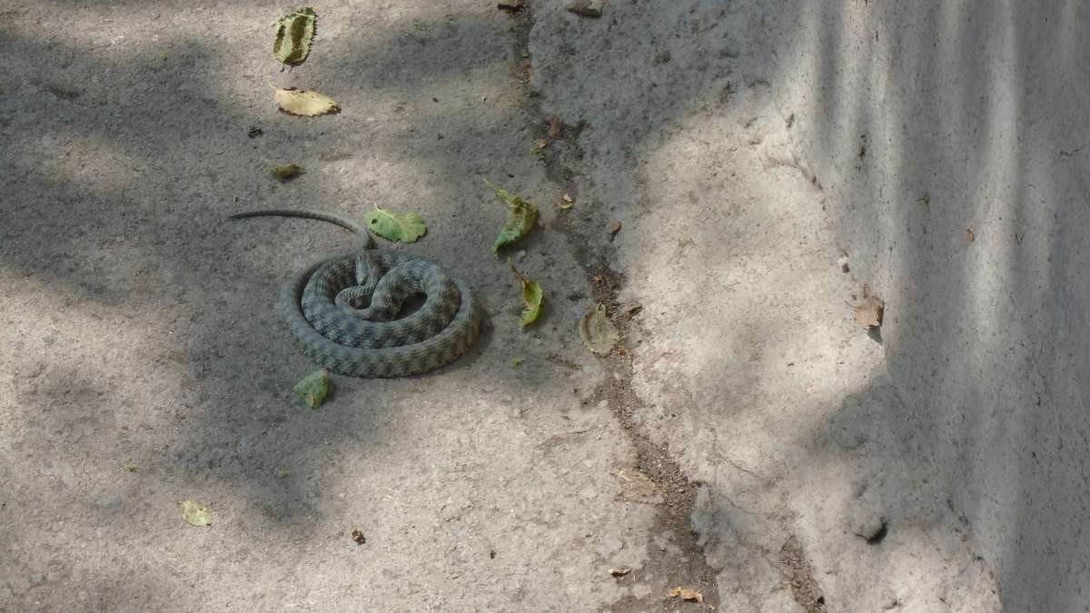 ������� �����... ����� �����������  �� PhotoGeek.ru #�������� ���