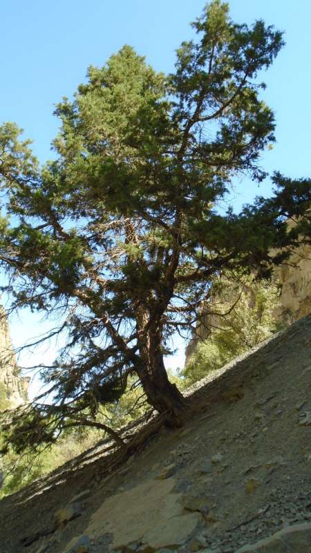 �� ������... ����� �����������  �� PhotoGeek.ru #������ ��� �������