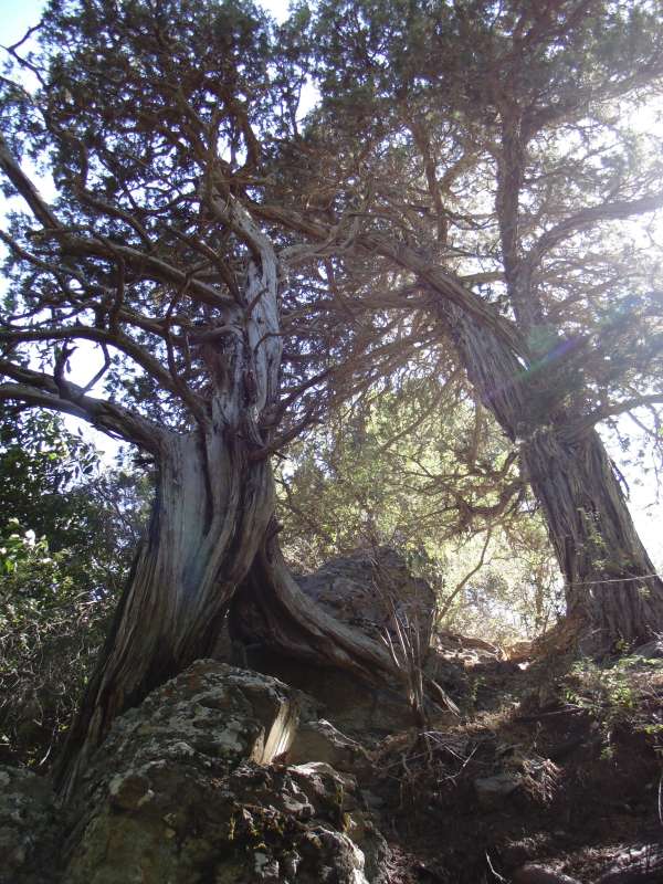 �������� ��������... ����� �����������  �� PhotoGeek.ru #������ ��� �������