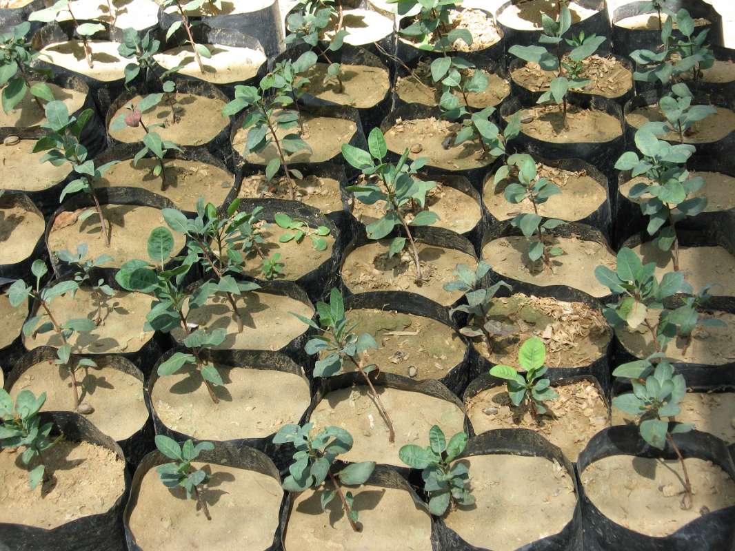 ����������� ������� ���... ����� �����������  �� PhotoGeek.ru #������ ��� �������