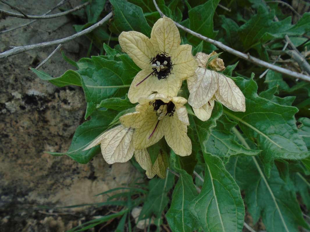 ������... ����� �����������  �� PhotoGeek.ru #������ ��� �������