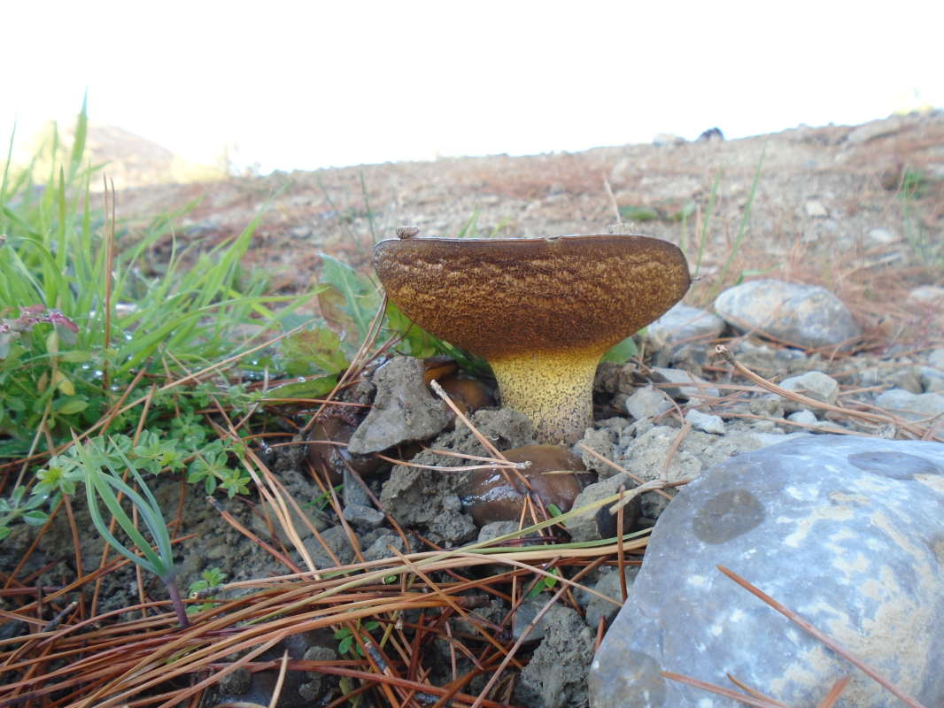 �������� � ��������... ����� �����������  �� PhotoGeek.ru #������ ��� �������