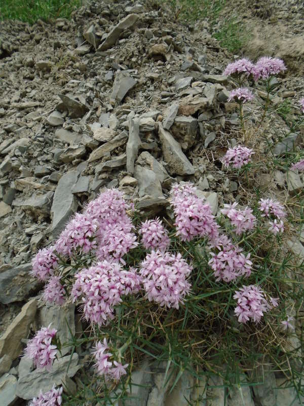 ��������� ���... ����� �����������  �� PhotoGeek.ru #������ ��� �������