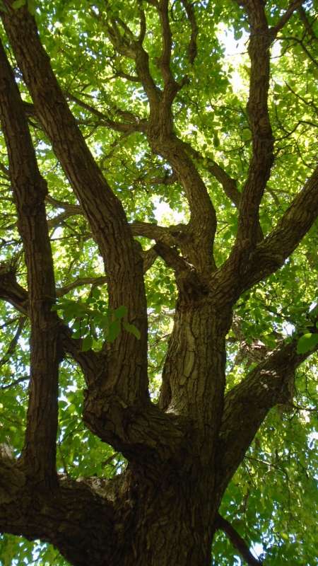 ������ ����... ����� �����������  �� PhotoGeek.ru #������ ��� �������