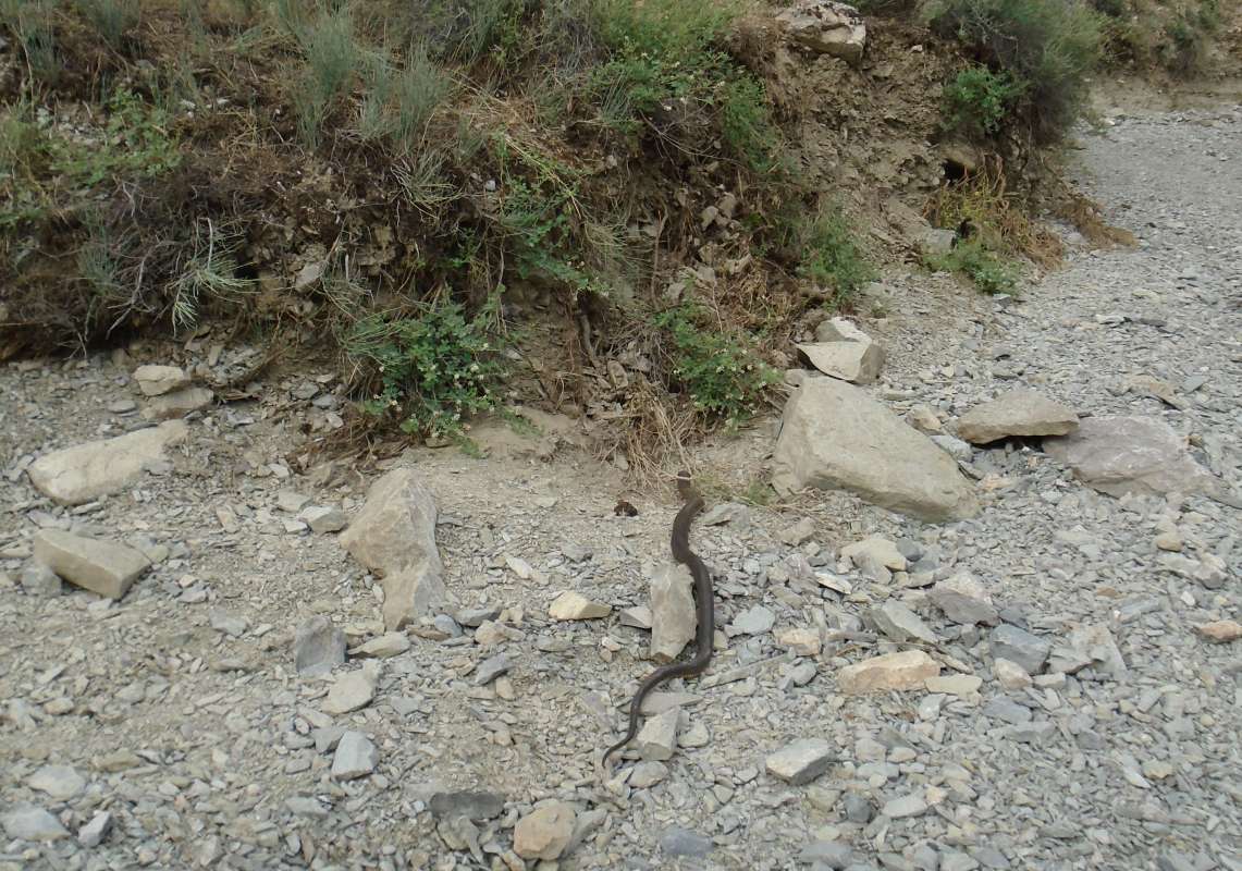 �������� �����... ����� �����������  �� PhotoGeek.ru #������ ��� �������