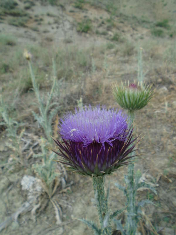 � ������ ������� �������... ����� �����������  �� PhotoGeek.ru #������ ��� �������