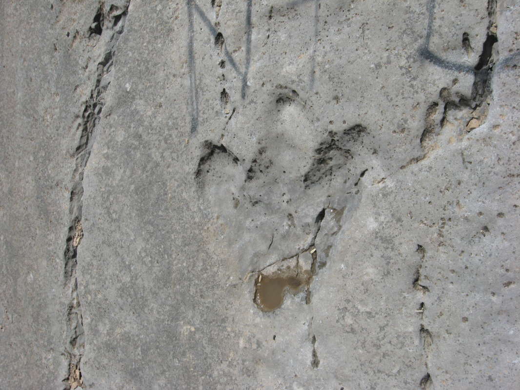 ��������� ����... ����� �����������  �� PhotoGeek.ru #������ ��� �������