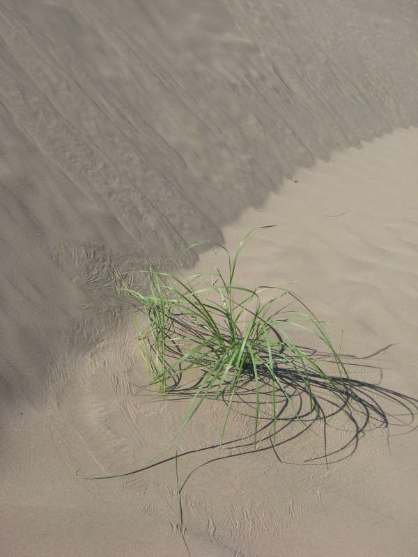 � �������� �������.... ����� �����������  �� PhotoGeek.ru #������ ��� �������