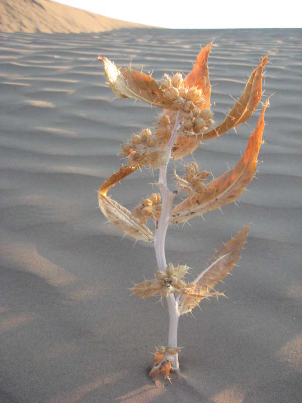 ����������... ����� �����������  �� PhotoGeek.ru #������ ��� �������