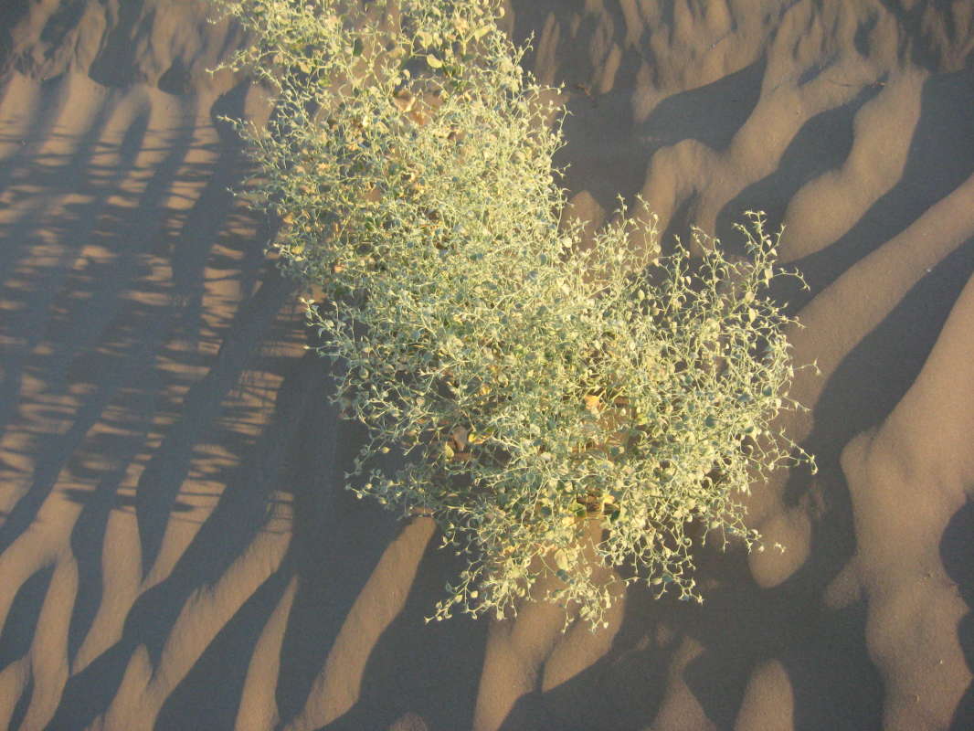 ��������... ����� �����������  �� PhotoGeek.ru #������ ��� �������