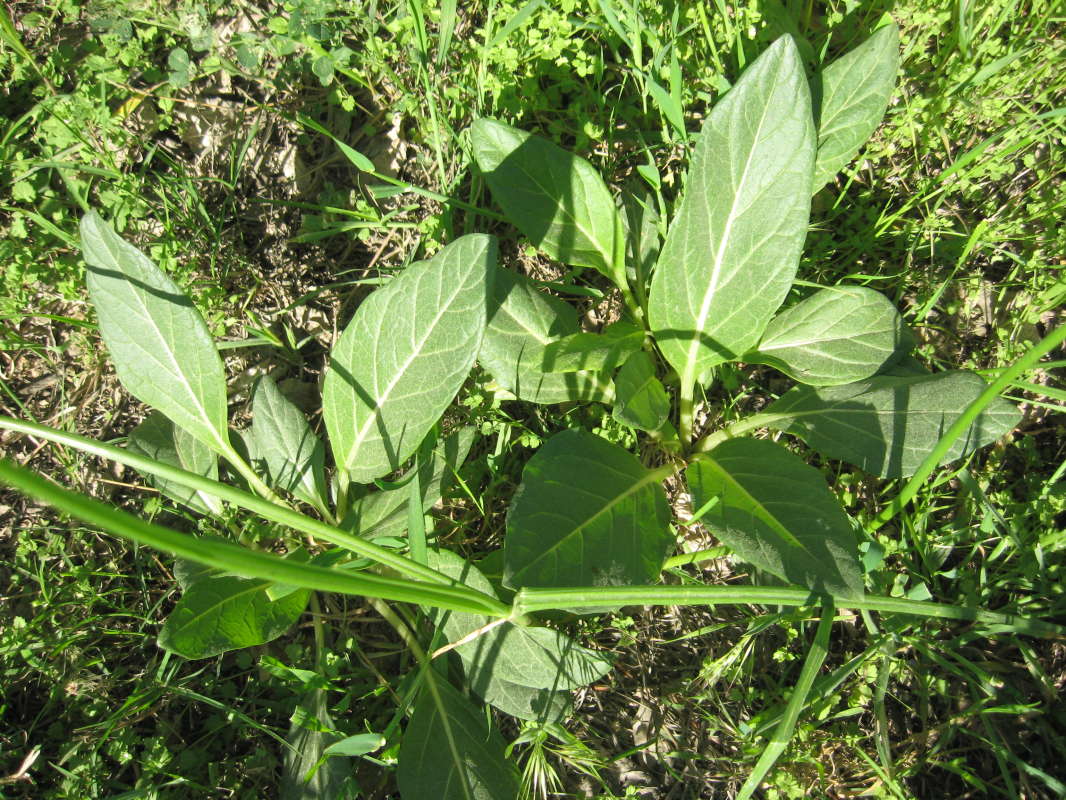 ����������.... ����� �����������  �� PhotoGeek.ru #������ ��� �������