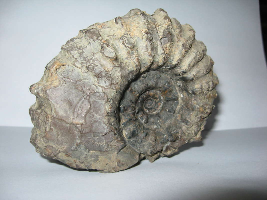 �������... ����� �����������  �� PhotoGeek.ru #������ ��� ������� #�������� ����������