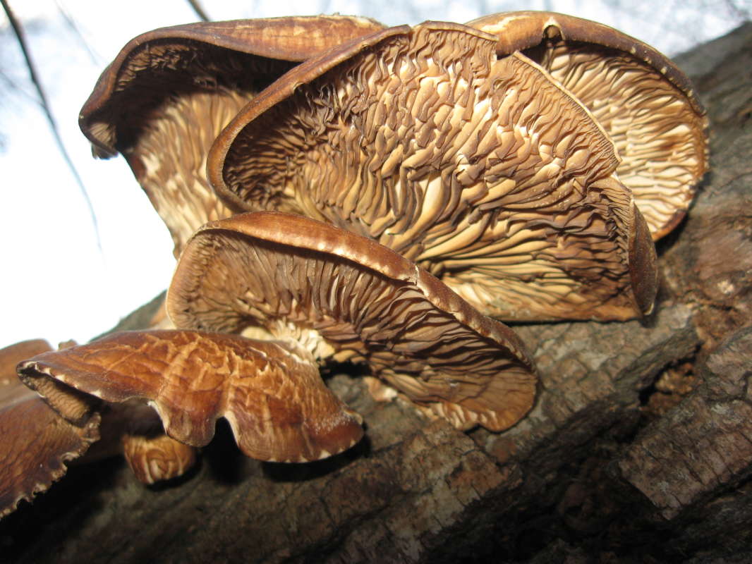 ������� �������... ����� �����������  �� PhotoGeek.ru #������ ��� �������