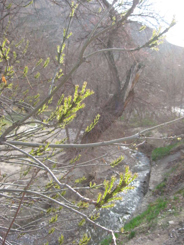 �������� � ������� �����... ����� �����������  �� PhotoGeek.ru #������ ��� �������