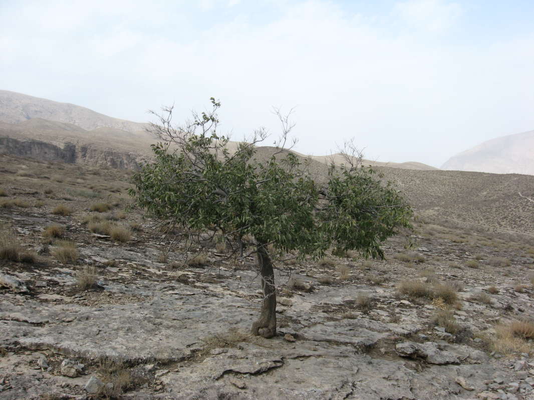 ������� � �����... ����� �����������  �� PhotoGeek.ru #������ ��� �������