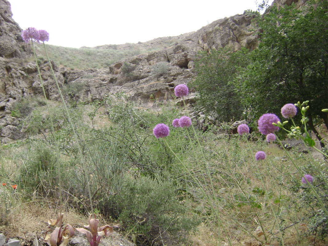 ����� ��� �����... ����� �����������  �� PhotoGeek.ru #������ ��� �������