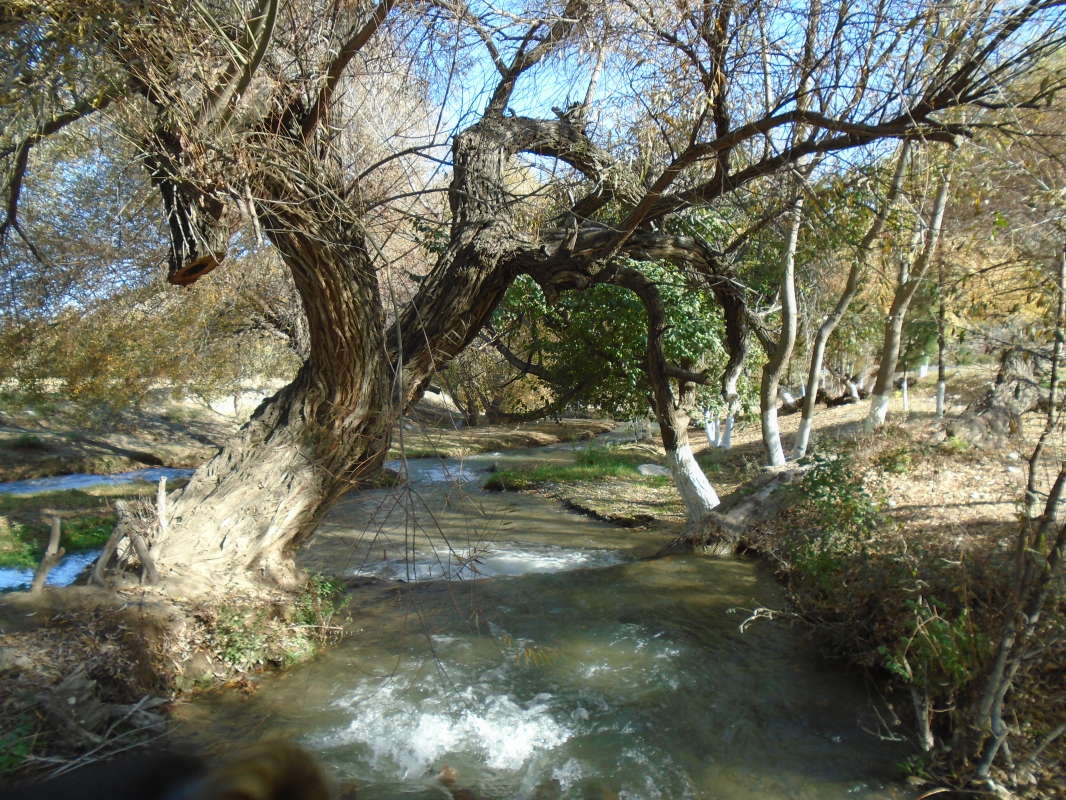 ����������... ����� �����������  �� PhotoGeek.ru #������ ��� �������