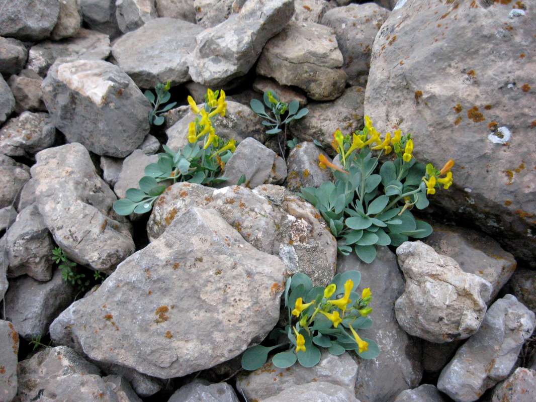 ����� �� ������... ����� �����������  �� PhotoGeek.ru #������ ��� �������