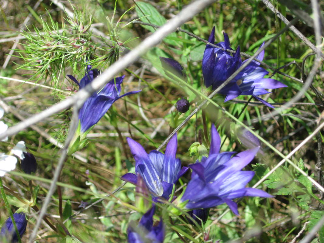 ���������: ���������� � ������� ���� ����� �����������  �� PhotoGeek.ru #������ ��� �������