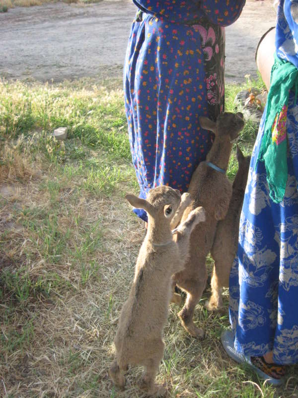 ����� �������... ����� �����������  �� PhotoGeek.ru #�������� ����������