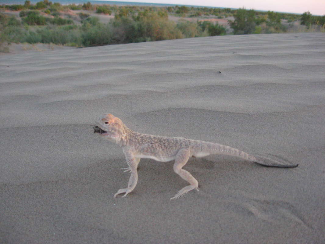 ������ �������... ����� �����������  �� PhotoGeek.ru #�������� ��� #������ ��� �������