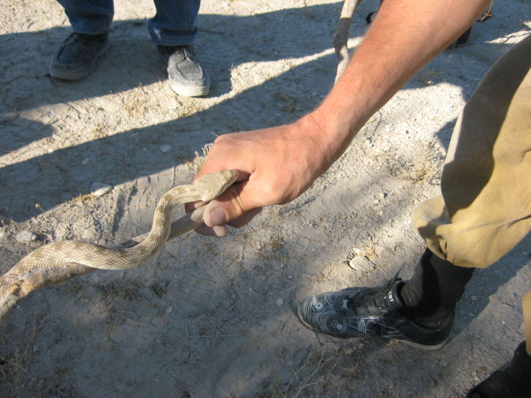 ��� ������ ��������... ����� �����������  �� PhotoGeek.ru #������ ��� �������