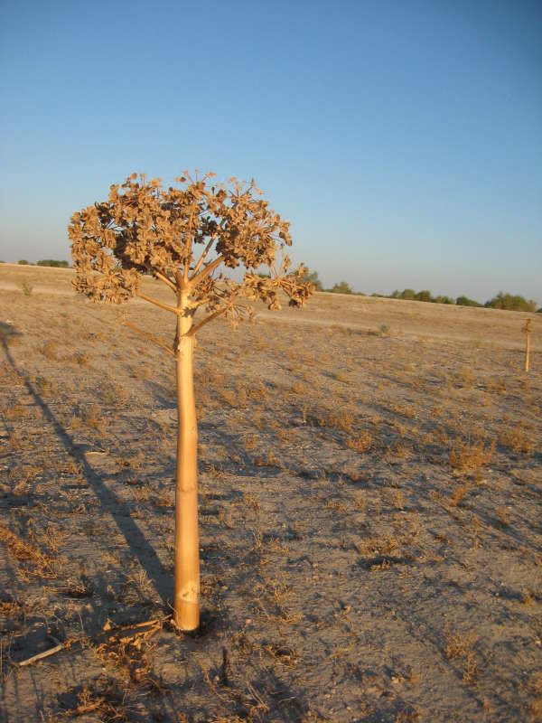 ������� ��������... ����� �����������  �� PhotoGeek.ru #������ ��� �������