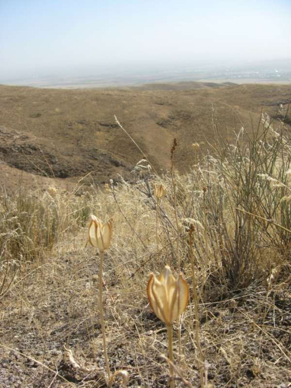 ��, ��� �������� �� ���������... ����� �����������  �� PhotoGeek.ru #������ ��� �������