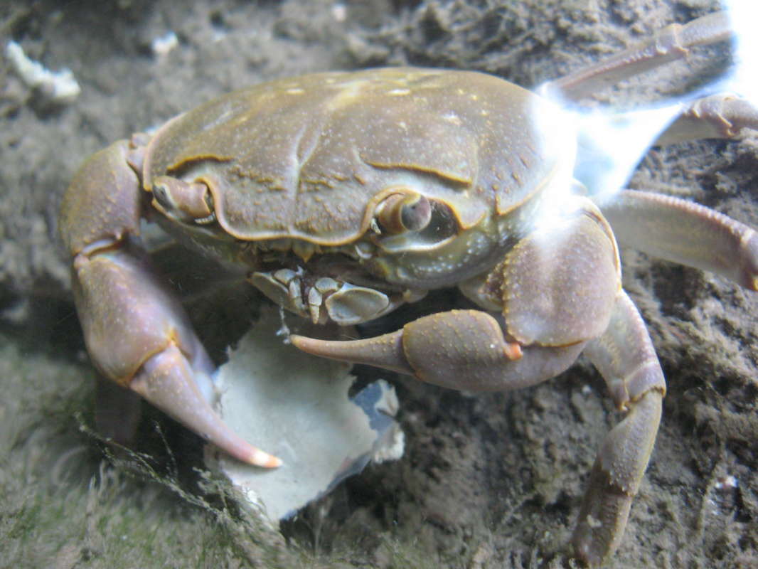 ������� �������... ����� �����������  �� PhotoGeek.ru #�������� ���