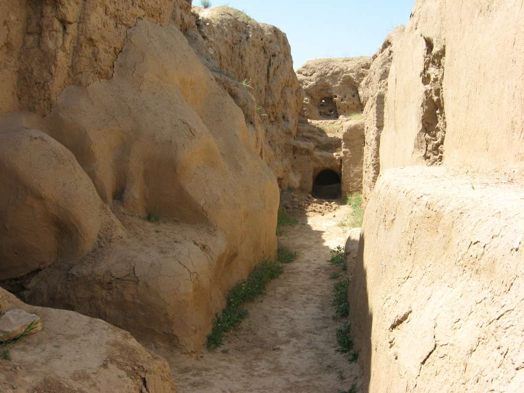 ������������� ��������� ������ �����... ����� �����������  �� PhotoGeek.ru #��������