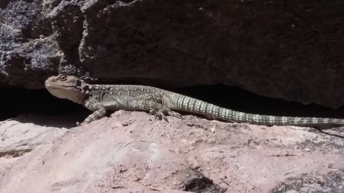 ����� �������� � ���� �����... ����� �����������  �� PhotoGeek.ru #�������� ��� #������ ��� �������