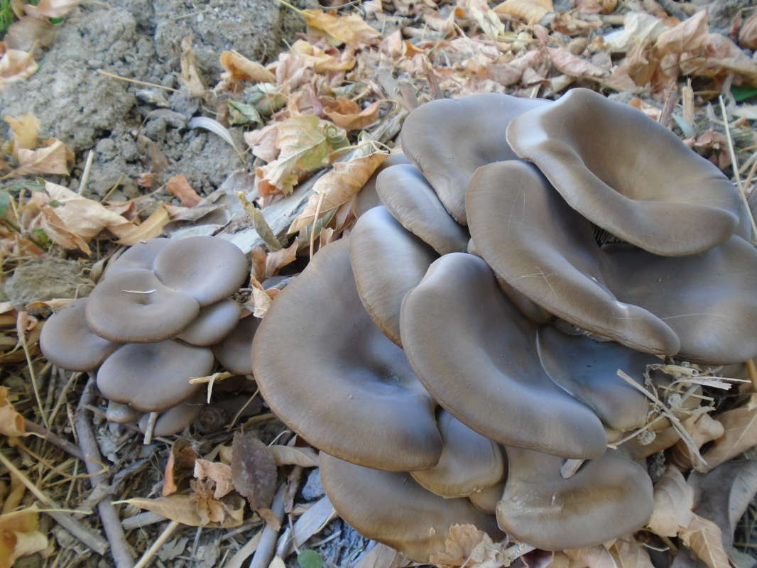 ������� ������� �� ������ �������... ����� �����������  �� PhotoGeek.ru #������ ��� �������