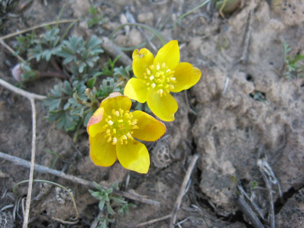 �������� �������... ����� �����������  �� PhotoGeek.ru #������ ��� �������