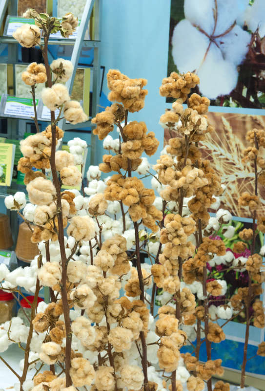 ������� ������... ����� �����������  �� PhotoGeek.ru #������ ��� �������