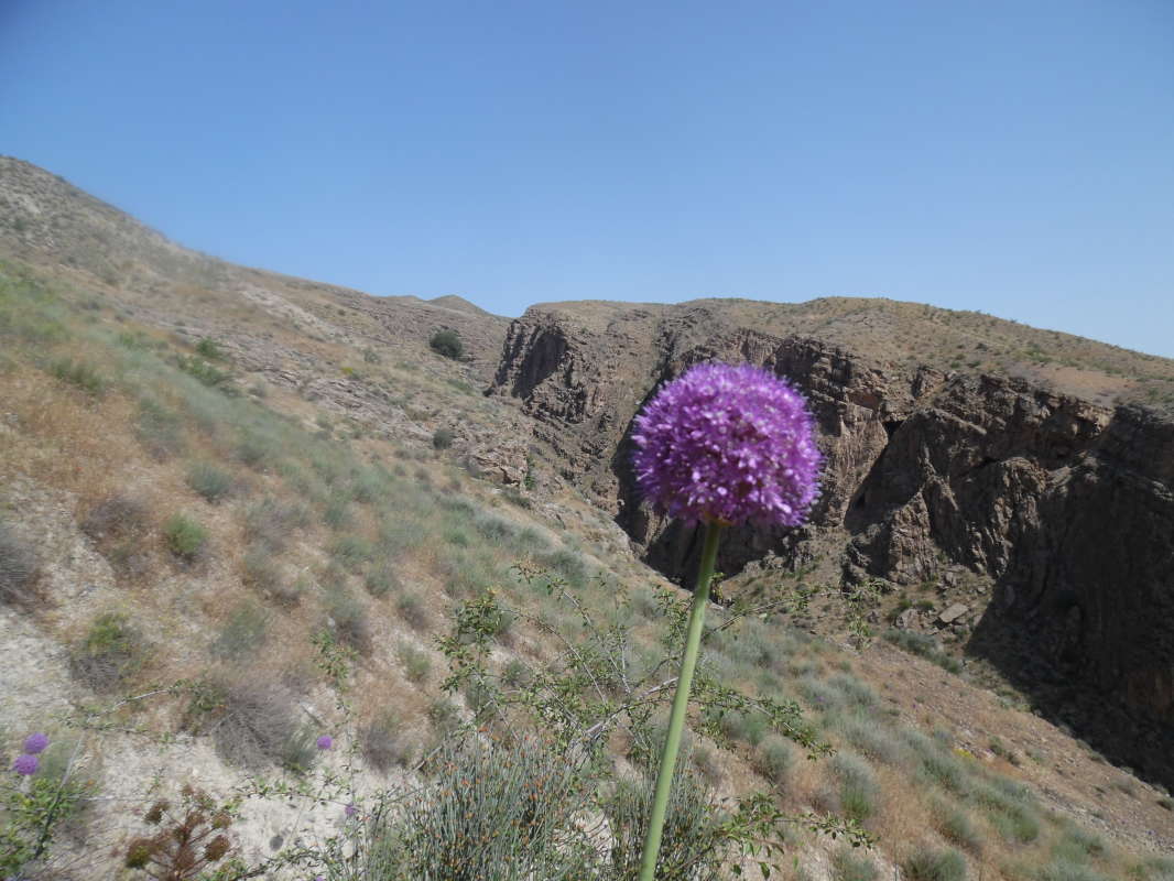 ����� ���... ����� �����������  �� PhotoGeek.ru #������ ��� �������