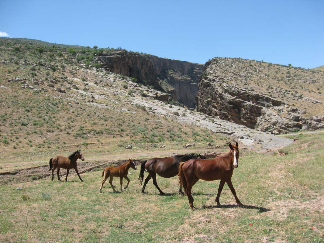 ��������� �����... ����� �����������  �� PhotoGeek.ru #������ ��� �������